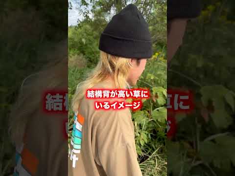 北海道にいないはずのカマキリが大量発生？！？！