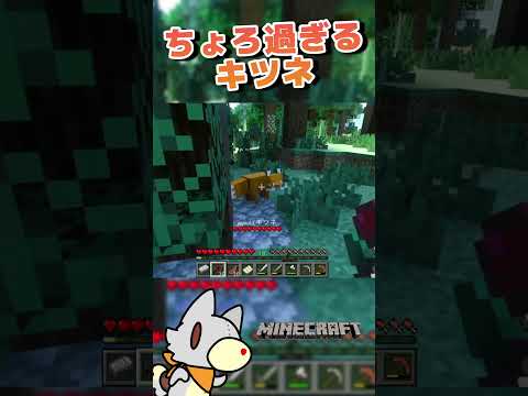 thumbnail_YHmfauDd8k8