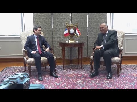 Egyptian FM receives his French counterpart at the New Administrative Capital in Egypt