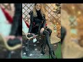 Beautiful classical leather long boots latest knee  boots lovely boots for lovely women