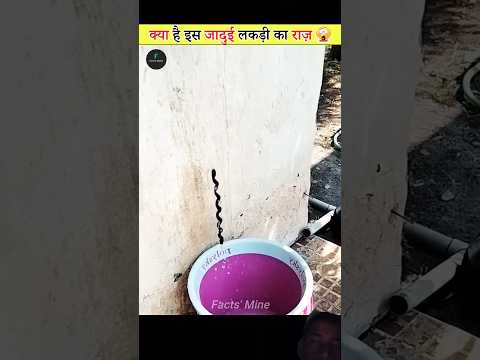 #amazingfacts #ytshorts क्या है इस जादूई लकडी राज🤯