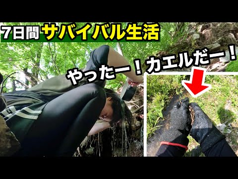 【サバイバル生活#11】空腹…過酷なサバイバル、カエルをGETして大喜びする女、まさかの結果に…【6日目】