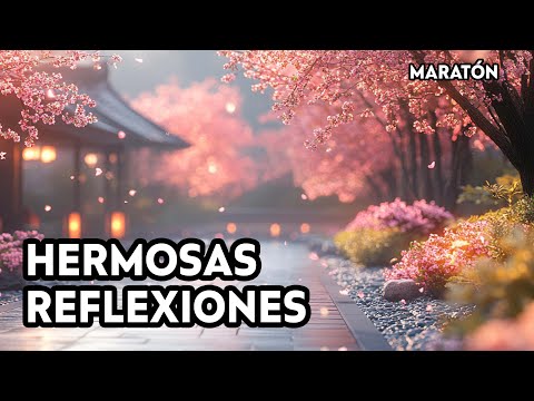 Increíbles Reflexiones y Lecciones de Vida que No Puedes Ignorar