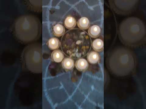 #festival#vibes#lights#evening#