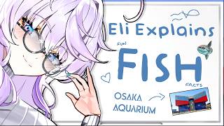 FUN FISH FACTS and Osaka Aquarium Trip! 【 Eli Explains 】pt 2