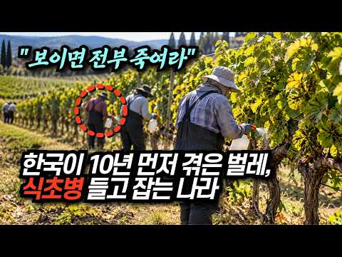 한국이 10년 먼저 겪은 벌레, 식초병 들고 잡는 나라
