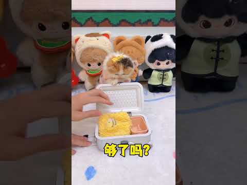 帮我看看还有没有啥忘记装了 #第一批春运回家的宠物 #宝贝年味企划 #万物可爱计划 #给萌宠过年支个招 #萌宠帮帮团