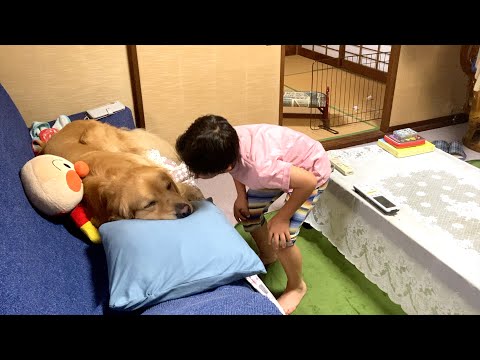 愛犬がソファを占領して、気持ちよさそうに寝ていた・・・