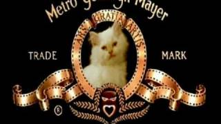 MGM Kitty