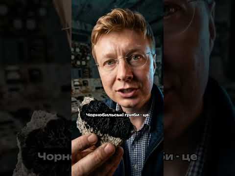 ЧОРНОБИЛЬСЬКІ ГРИБИ