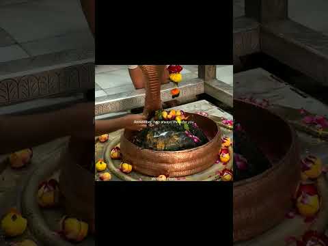 shiv sada sahayy ❤️🙏🦚👏🙌 #radheshyamshringar #hindufestival #vrindavanmarg #krishnajanmashtami