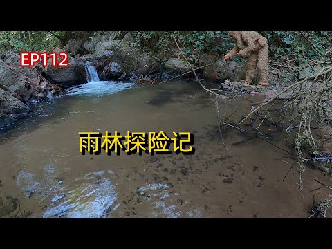 EP112 遛鱼笼，逗螃蟹，制蚊香 | 挑战丛林生存100天 DAY84