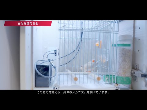 １Minute動画 文学部 田中雅史准教授Vol.2（早稲田大学文学学術院）202505