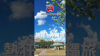 #19【勝手にCM】JAL沖縄『熱狂！沖縄旅～2025年夏～戦争史跡編』 #架空CM #ai動画 #aiアニメ #沖縄