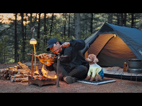 캠핑 브이로그 . 아무도 없는 숲속 작은 텐트에서 강아지와 보낸 낭만적인 하룻밤 . 로티세리 치킨 . 모닥불 ASMR