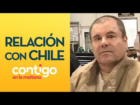 SEGÚN FISCAL: Familiares del Chapo Guzmán y cartel de Sinaloa están en Chile - Contigo en La Mañana