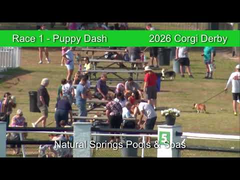 Corgi Derby 2026