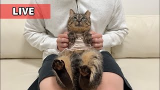 動画サムネイル