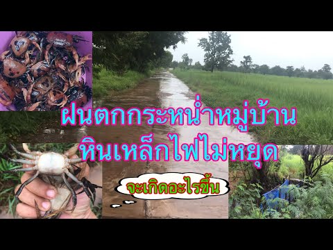 จะเกิดอะไรขึ้น❓เมื่อฝนตกกระหน่ จะเกิดอะไรขึ้น❓เมื่อฝนตกกระหน่
