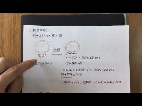 ざっくり薬理学　排尿蓄尿障害治療薬