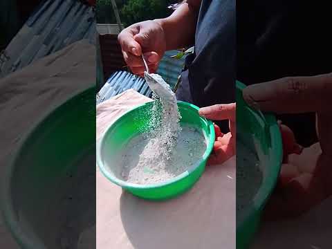 como cuidar del romero con la ceniza de leña #jardin #plantas