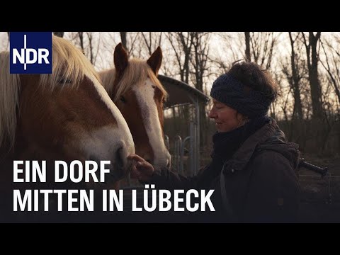 Sozialer Treffpunkt: Roter Hahn – ein Dorf in Lübeck | Die Nordreportage | NDR