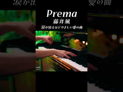 藤井風「Prema」｜涙が出るほどやさしい愛の曲【ピアノカバー】｜CANACANA