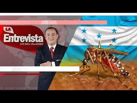 LA ENTREVISTA l Honduras a las puertas de un estado de emergencia por el dengue