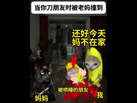 猫の動画サムネイル - 当你在家刀朋友时被老妈撞见#有趣 #猫meme #猫meme剧场 #猫meme小剧场 #内容过于真实  #故事 #貓 #猫猫meme小剧场 #喵不可言