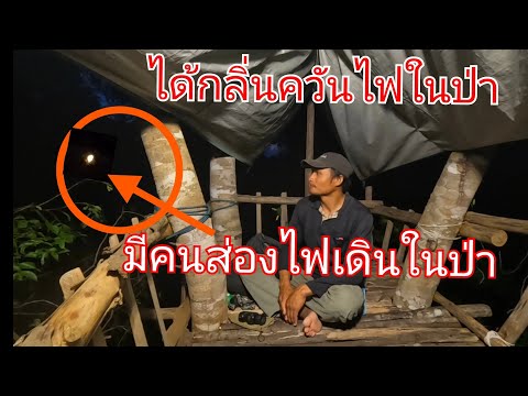 นอนห้างต้นเค็งสูงตกค่ำบรรยากา