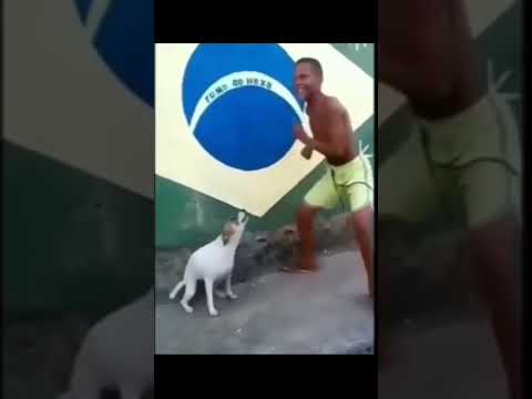 الفيديو الاصلي💖😂😂