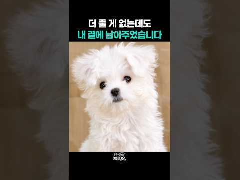 더 줄 게 없는데도 내 곁에 남아주었습니다