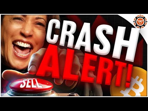BREAKING: US Government CRASHING Bitcoin!? (Buy NOW for HUGE Gains!)