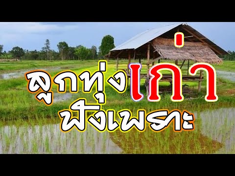 เพลงลูกทุ่งเก่าฟังเพราะ-ฟังสบา เพลงลูกทุ่งเก่าฟังเพราะ-ฟังสบา