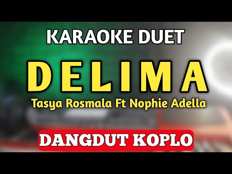 DELIMA KARAOKE DUET DANGDUT KOPLO - Tasya Rosmala Adella Ft. Nophie Adella