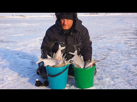 ВОТ ЭТО РЫБАЛКА. ДВА ВЕДРА РЫБЫ ЗА ДВА ЧАСА. ЗИМНЯЯ РЫБАЛКА. БЕШЕНЫЙ КЛЁВ!