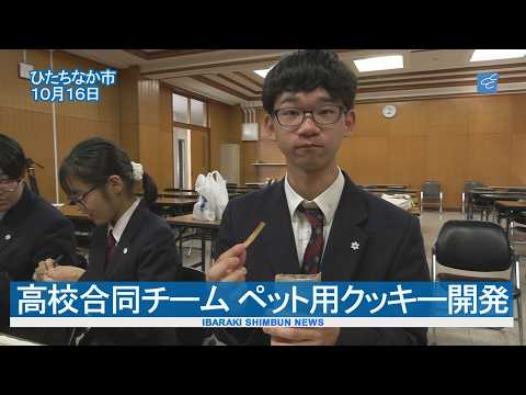 高校合同チームペット用クッキー開発　ひたちなか