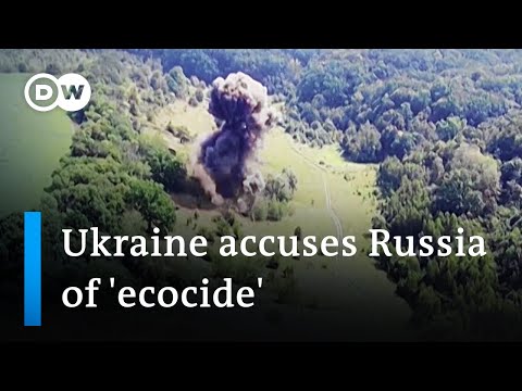 What's the environmental damage of the war in Ukraine? | DW News