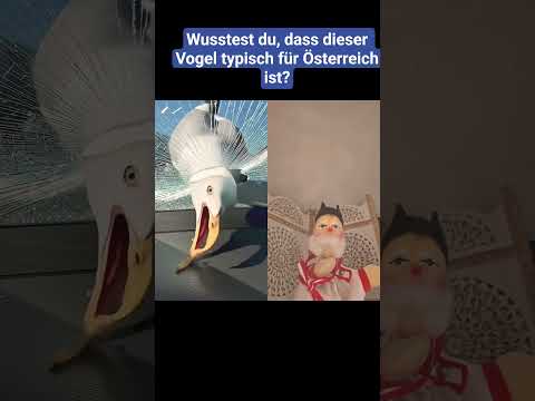 Nur in Österreich gibt’s so Vögel 😂
