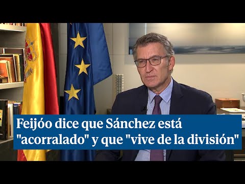 Feijóo dice que Sánchez está acorralado y que vive de la división