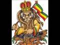 LightTheDarkMarley