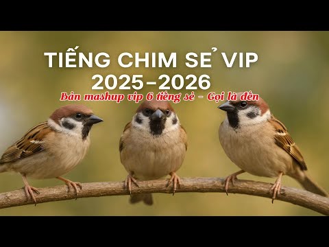 Tiếng sẻ, 12 tiếng sẻ.vua sẻ gọi phát đến cả đàn. Dành cho ná thủ, keo thủ, lưới thủ, sẻ ta,sẻ tàu