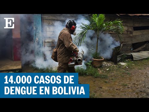 La peor epidemia de dengue en Bolivia en 15 años | EL PAÍS