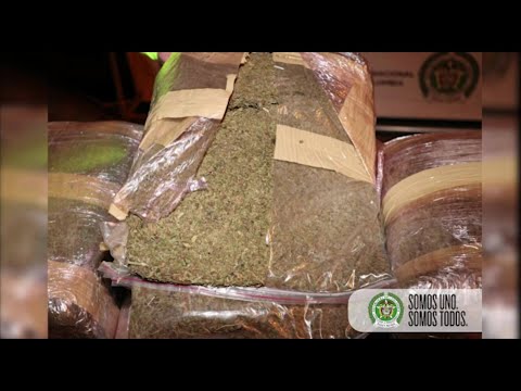 Policía Nacional decomisó dos toneladas de marihuana - Teleantioquia Noticias