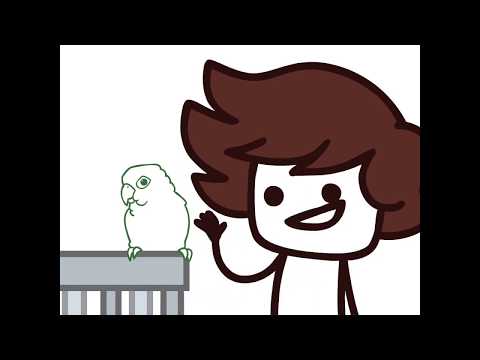 Bird Betrayal