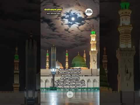 തണലെഴുത്ത് - 239 മനം നിറയെ മദീനാ | #muthnabiﷺ #mrs_rak #madina #foryou #തണലെഴുത്ത് #madhsong