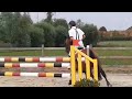 Show jumping horse Springpaard 8 jarige ruin