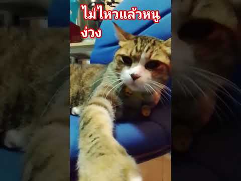 #หนูไม่ไหวละ😅😂🤣