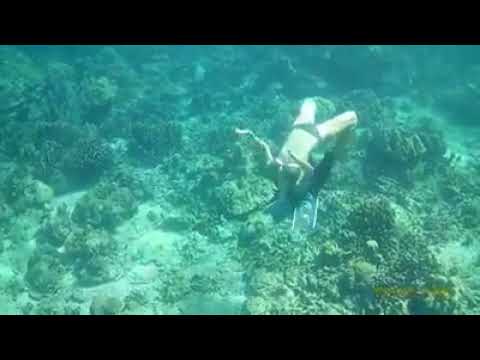 underwaterfreedivingroll,ha