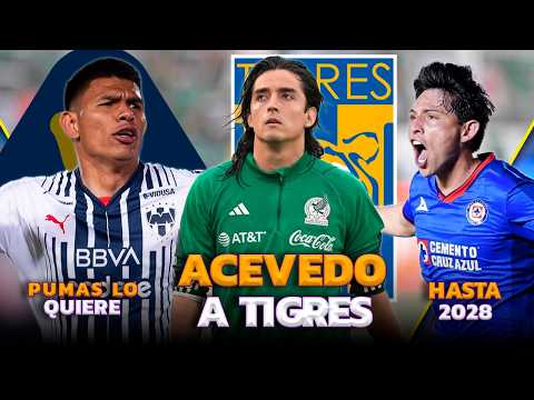 CARLOS ACEVEDO LLEGARÍA A TIGRES | JESÚS GALLARDO A PUMAS | NUEVO ESCÁNDALO EN AMÉRICA